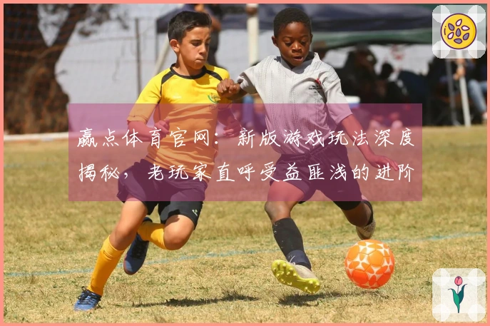 赢点体育官网：新版游戏玩法深度揭秘，老玩家直呼受益匪浅的进阶技巧一览