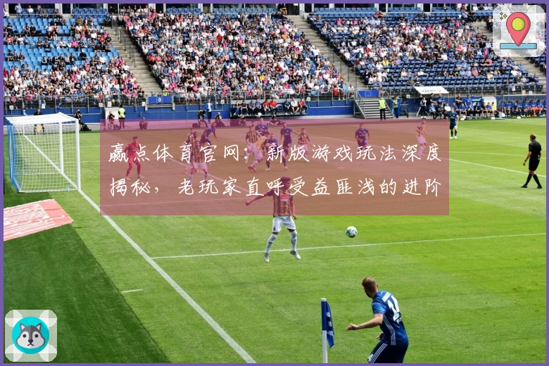 赢点体育官网：新版游戏玩法深度揭秘，老玩家直呼受益匪浅的进阶技巧一览